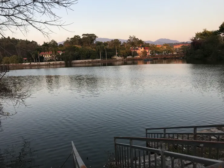 石斛景點外的湖,也算漂亮,但我比較喜歡駝奶基地後面那片樹林。