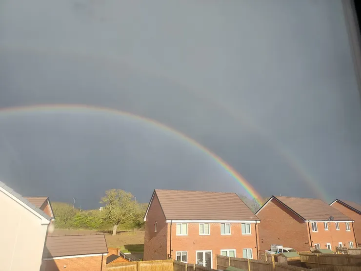 孩子傳來的照片