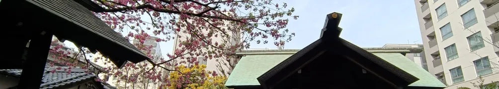 sharon's world的沙龍