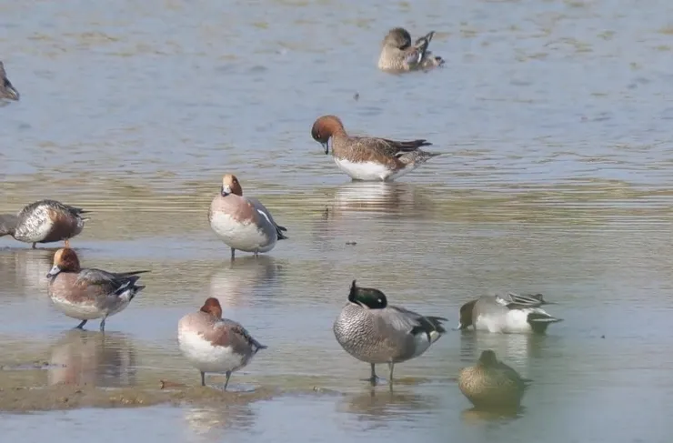 難度一：找到他嗎？