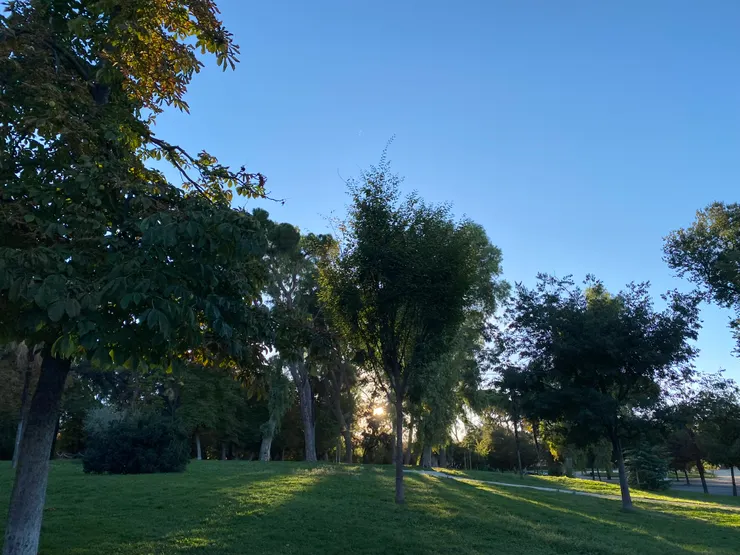 太陽公公出來了