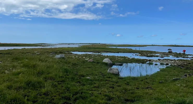 這個方向看過去就是 Vesiloo，愛沙尼亞真的很平吧！