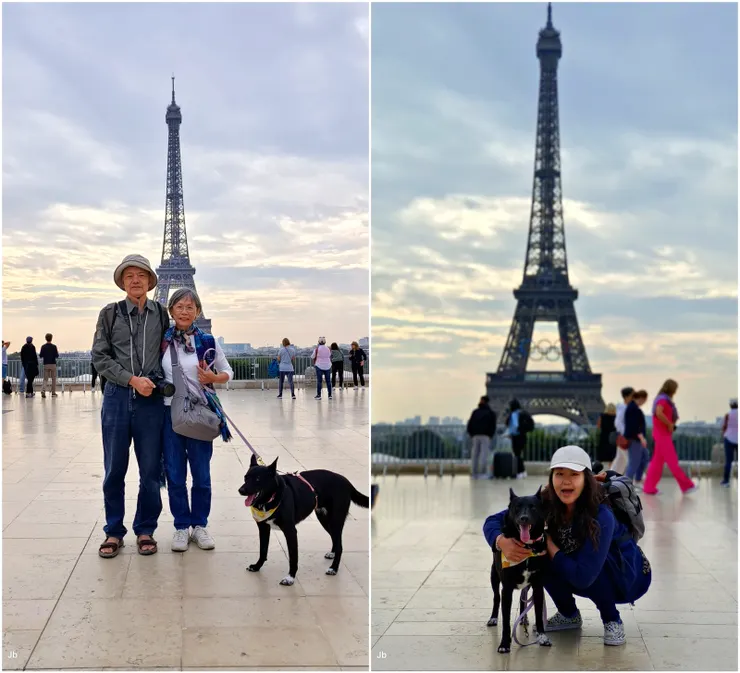 【如今我們仍看不清現在與未來 且陪侄女圓夢帶阿肥來走一遭】