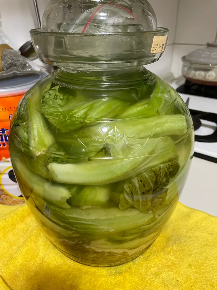 五天的醃芥菜