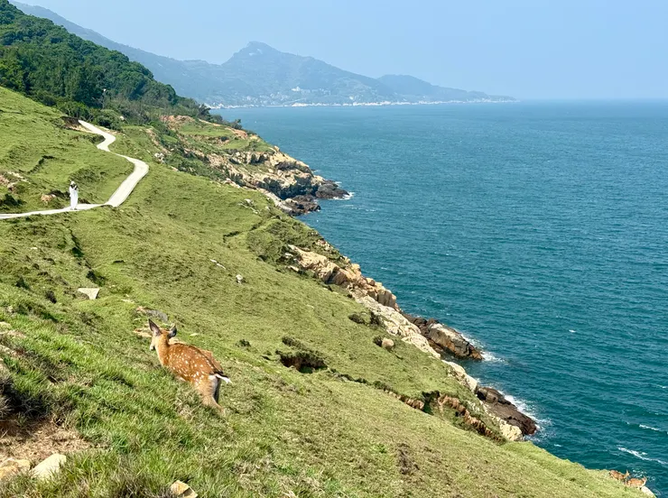 蜿蜒的小路配上藍海綠地，風景引人入勝