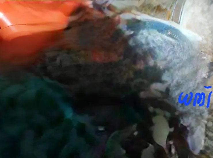 我的創作冰與火之歌