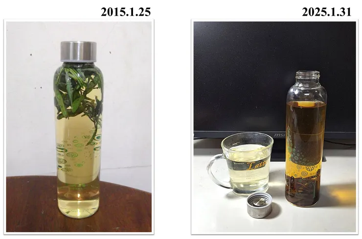 泡了十年的薰衣草醋