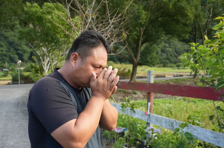 輕聞澳洲茶樹味道