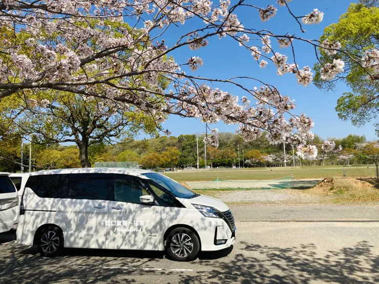 選擇適合家庭人數的車型可以是享受。