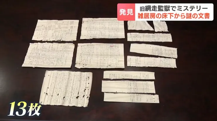 使用熨斗壓平後的樣貌。