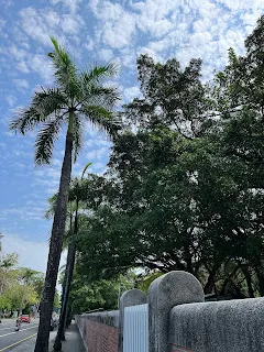 觀看小説戲劇，可以讓讀者本身敢於大膽追夢，不要為自己設限，這是一個很好的開始，而這只是第一階段。第二階段則著重於每日或隨時隨地進行將願望顯化的練習。在這個階段，如果僅是去重刷那些龍傲天的內容是不夠的，因為那些是主角不凡的人生際遇，無法被複製的。