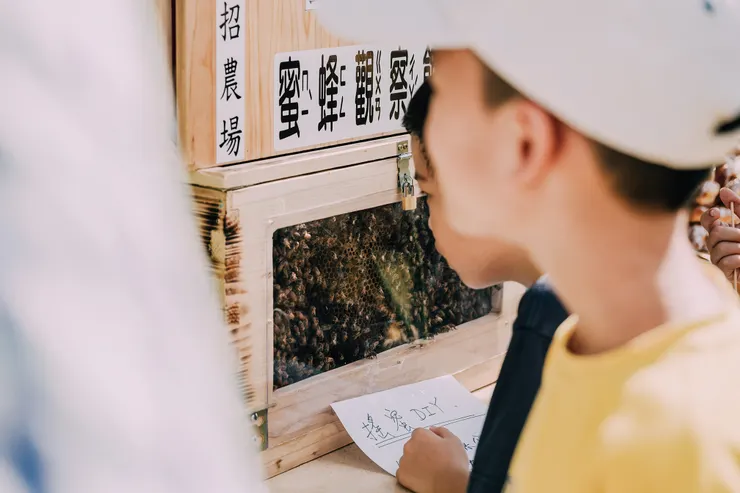 ▲竹北瑞招農場，蜜蜂觀察箱非常吸引小朋友的目光。