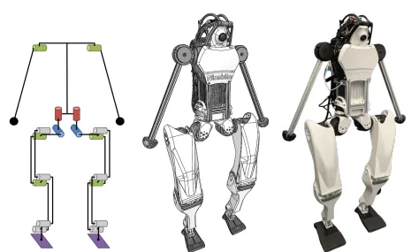 AGILOped 的運動學、CAD 模型以及實際組裝完成的版本