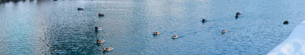 雋凡Joy&Fun的沙龍