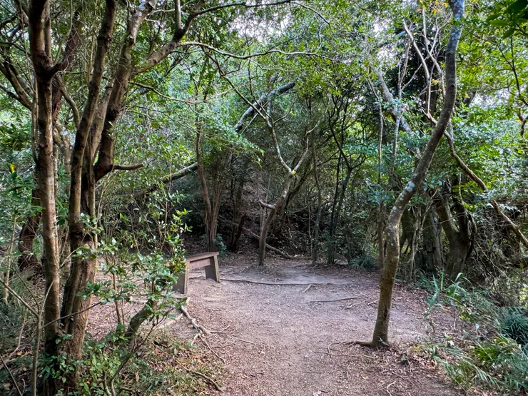 小平台有椅子,拉完筋再繼續