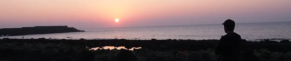 去年在八又二分之一個城堡裡