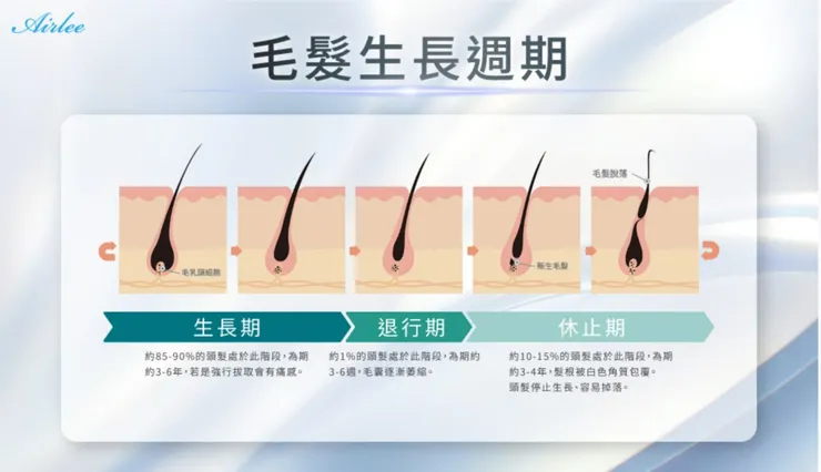 引用自愛爾麗官網