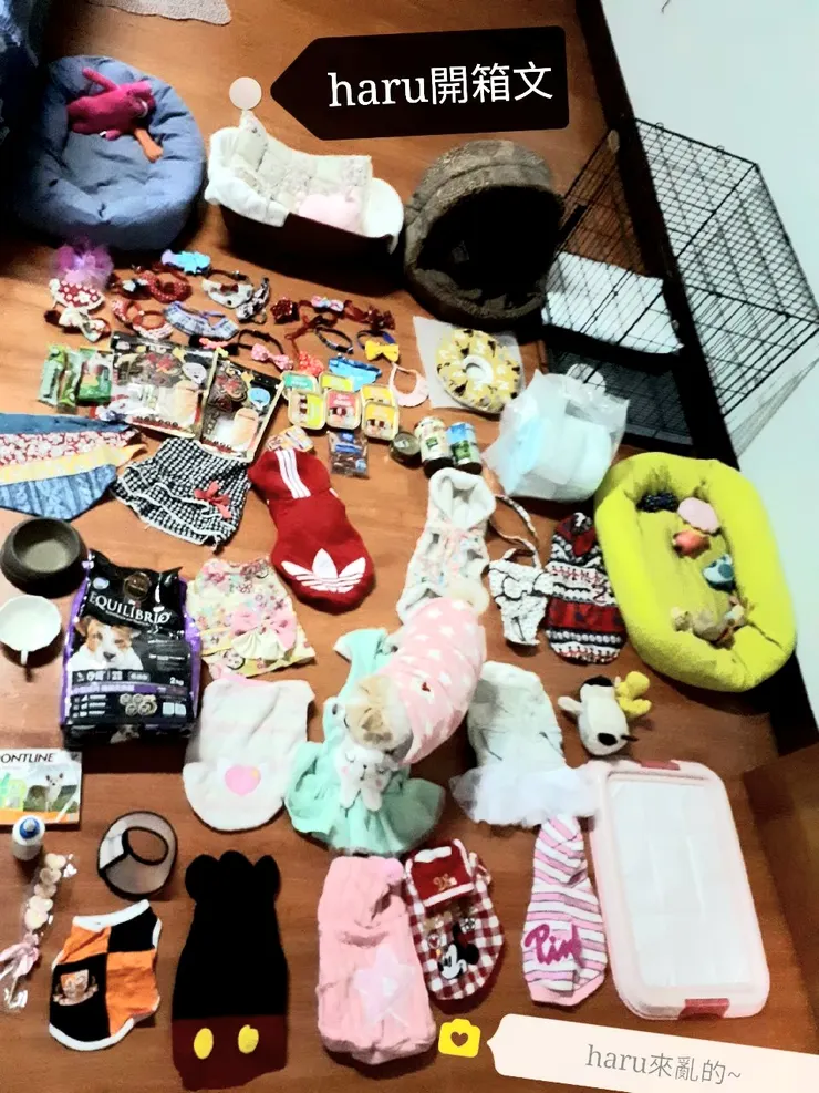 開箱Haru,螺絲很多……