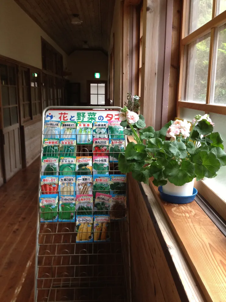 聚落自家種菜不可少，便利店也販售蔬菜種子。