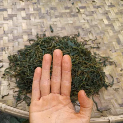 金嶋ㄖ旅的沙龍