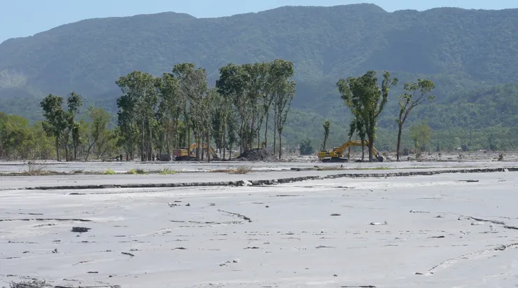 推倒樹木尋找生還者的怪手與搜救隊