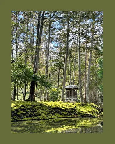 【綜觀西芳寺－經時間與自然孕育出的美景】