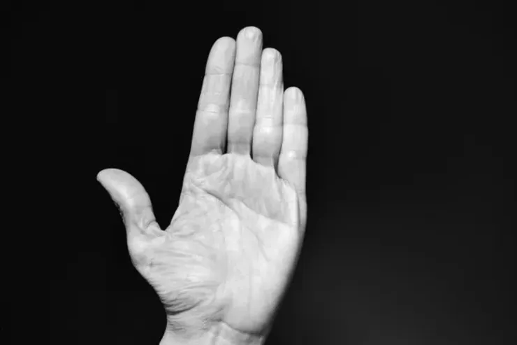 (圖片來源：網路)