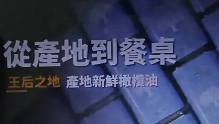 [異國美食]義大利的健康飲食聖塔麗塔橄欖油，特級冷壓初榨橄欖