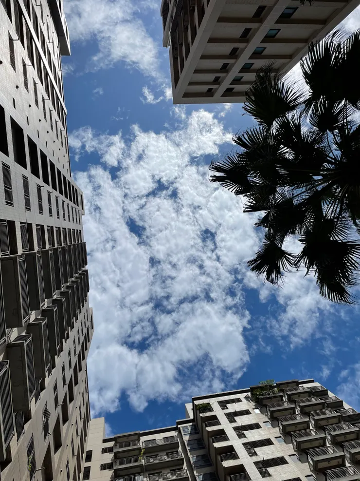 抬頭仰望的天空視角