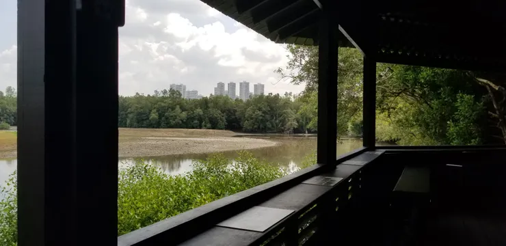整潔的觀鳥屋