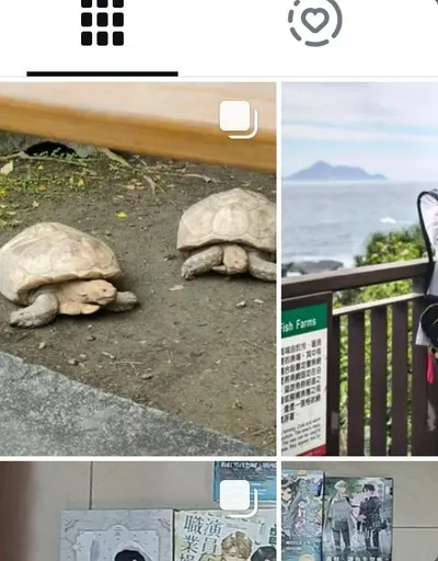 我發了我發了！！