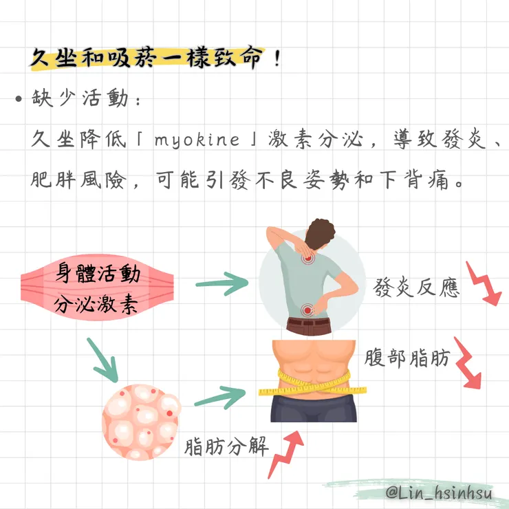 myokine的機制