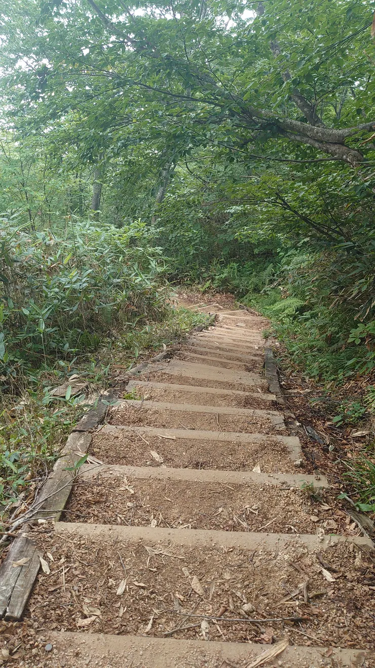 po這張說我人在日本，會被嘖吧。