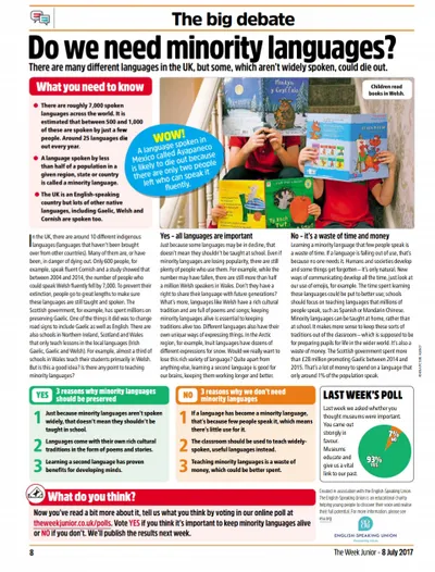 Do we need minority languages?