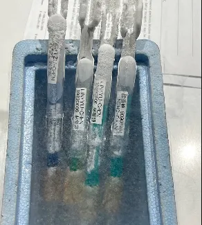 準備搭乘飛機出國的卵子們