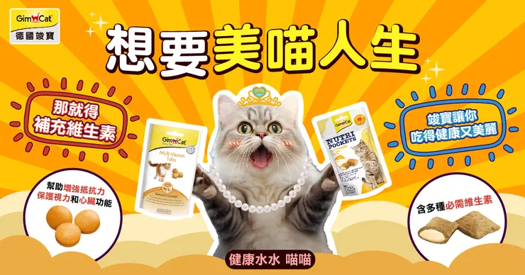 GIMPET竣寶 貓咪三合一維他命錠&顧眼護心起司牛磺酸餡餅(含多種必須維生素 讓喵星人能夠健康又美麗)