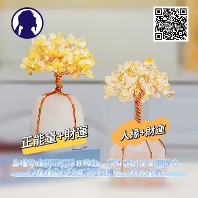 因太多朋友在直播靈接觸節目要開運水晶樹