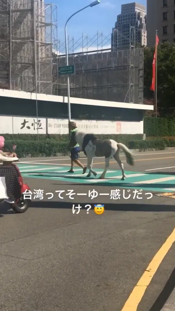 是誰在七期養馬啦！！誤導日本人了啦！