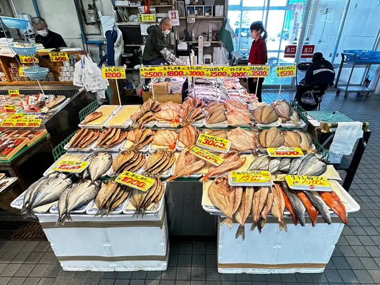 目不暇給的漁獲海產