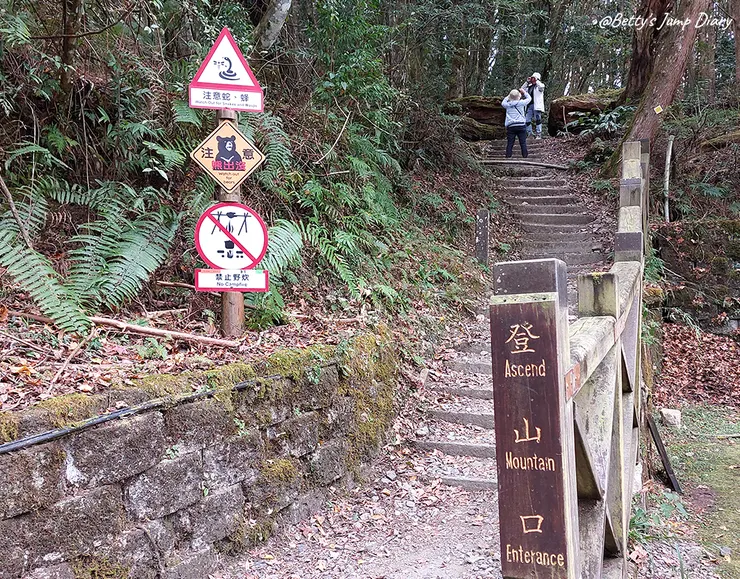 ▲台中「大雪山國家森林遊樂區」/圖片來源：Betty's Jump Diary