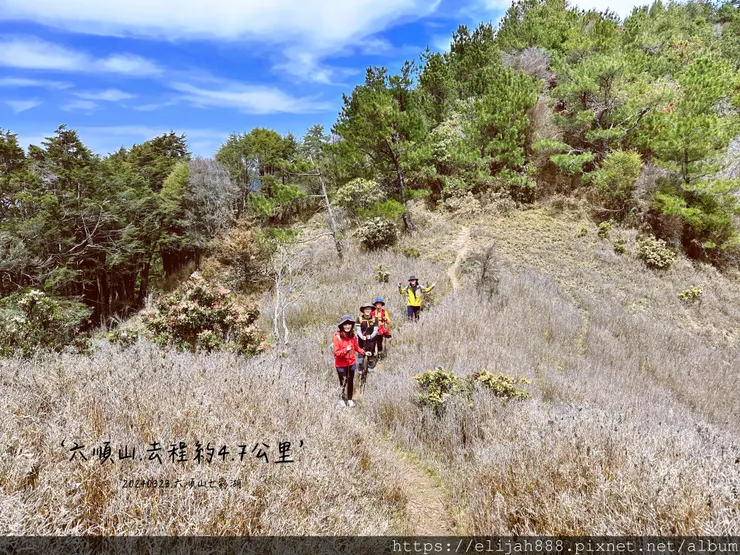 【丹大林道.六順山.七彩湖】六順山.海拔3009公尺/波波草