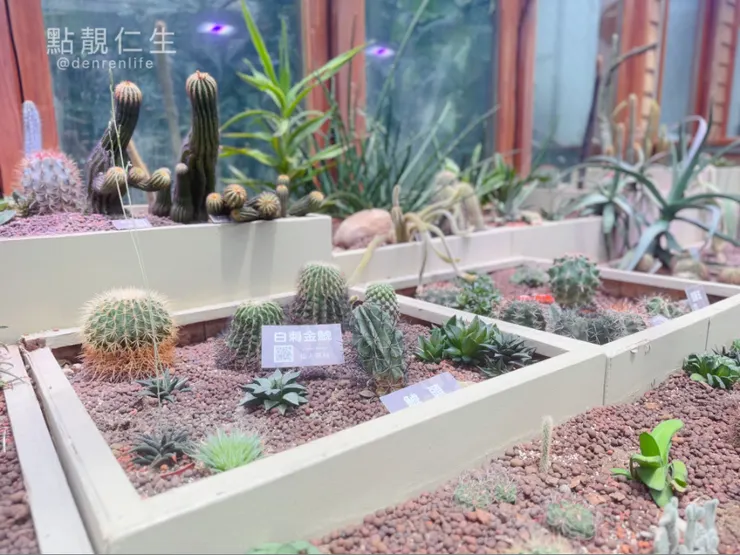 殺手機容量的多肉區｜台北典藏植物園