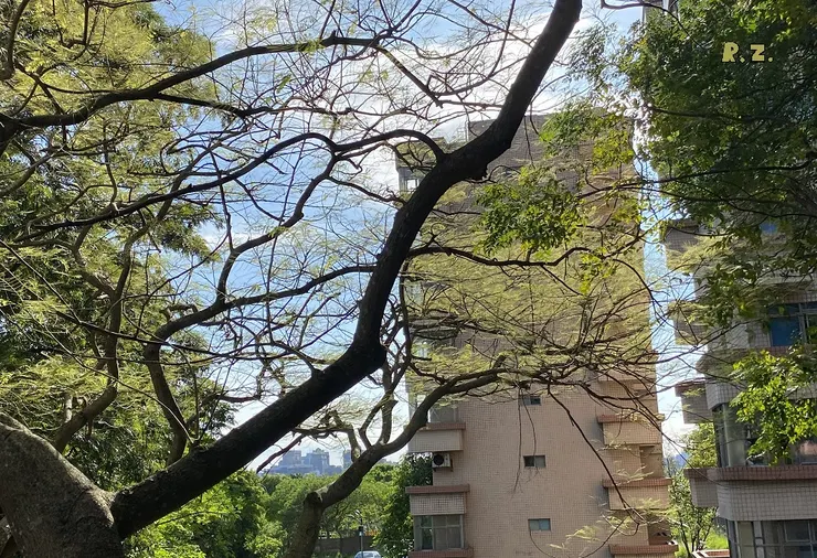 蟲災劫後模樣 ([陳傳義]拍攝)