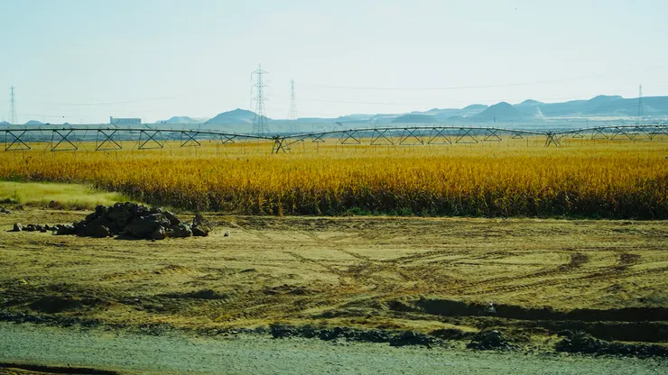 大型旋轉灑水機器