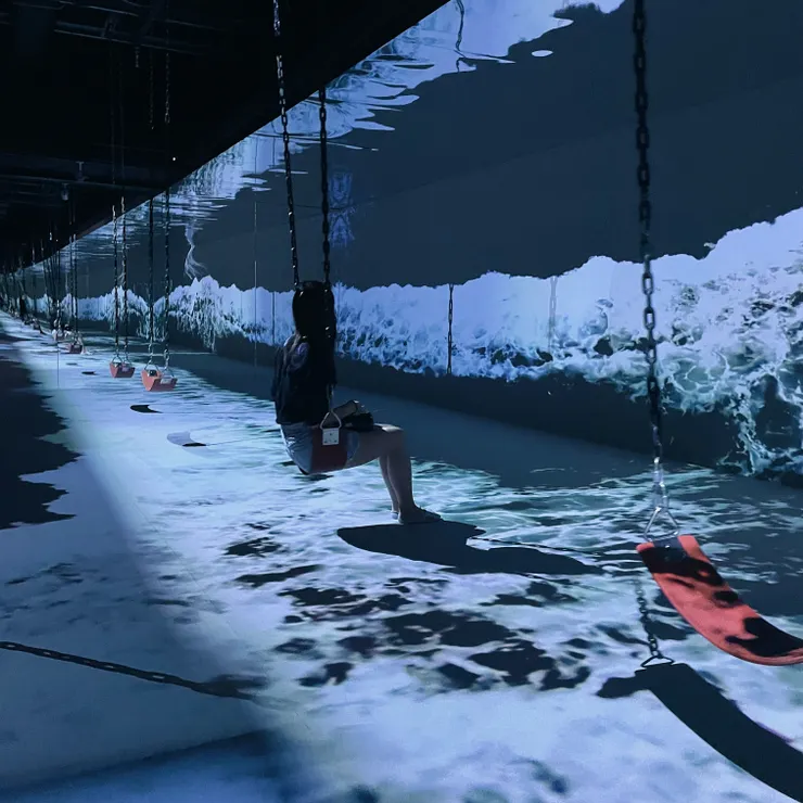 海