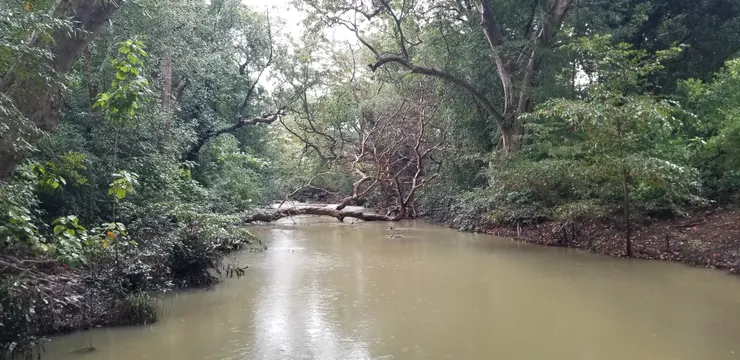 因爲下大雨，水位很高