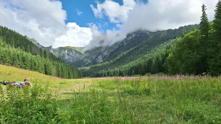 漂亮的 Dolina Małej Łąki，適合野餐