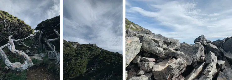 近看很有迷幻的感覺