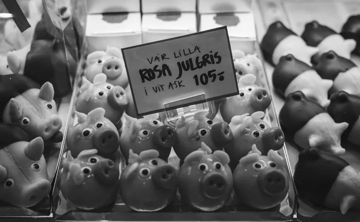 圖片來源：stayandroam 網站 / 杏仁豬（Julgris）