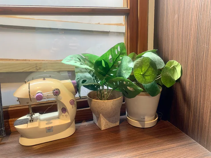 植物控的我 第一張拍的 還是植物